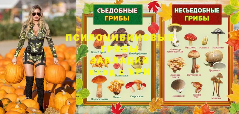 Галлюциногенные грибы MAGIC MUSHROOMS  Кинель 